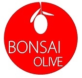 bonsai%20olive%20logo.jpg